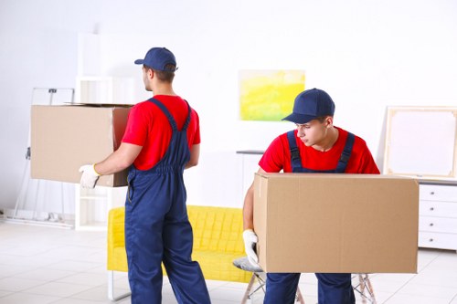 Removal truck and moving boxes for Edenpark relocations