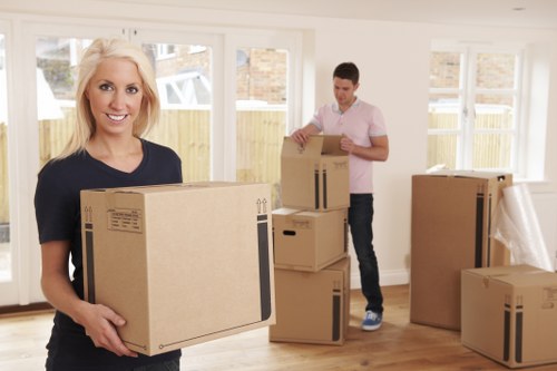 Professional packing services in Edenpark for household moving boxes