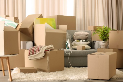 Professional moving team handling household items in Edenpark